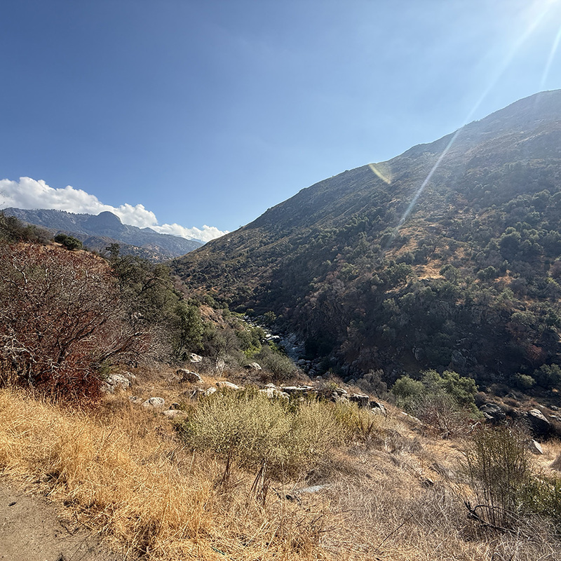 Sequoia National Park
