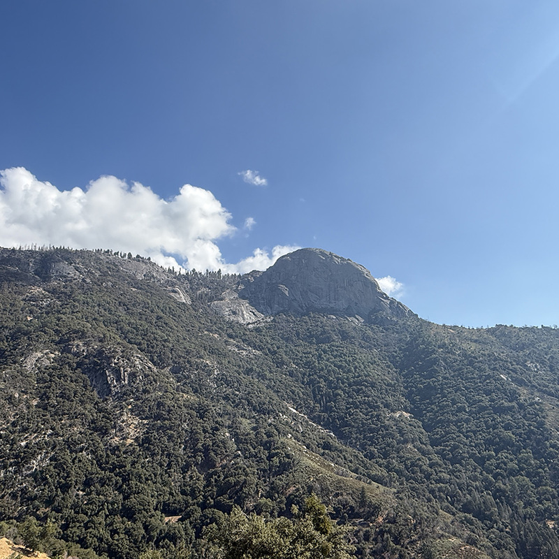 Sequoia National Park